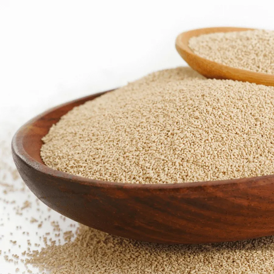 Dry Yeast 5kgs