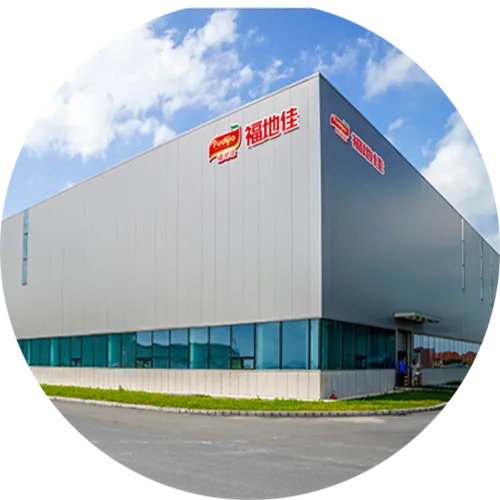 About Our Company